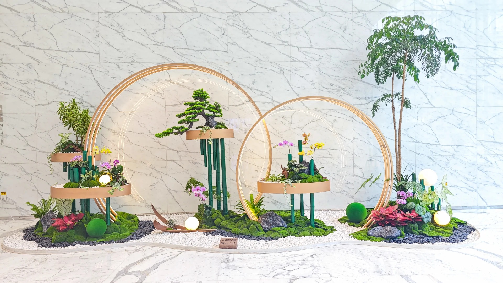 专业花卉租摆，宁波江北的绿色魅力等你来享